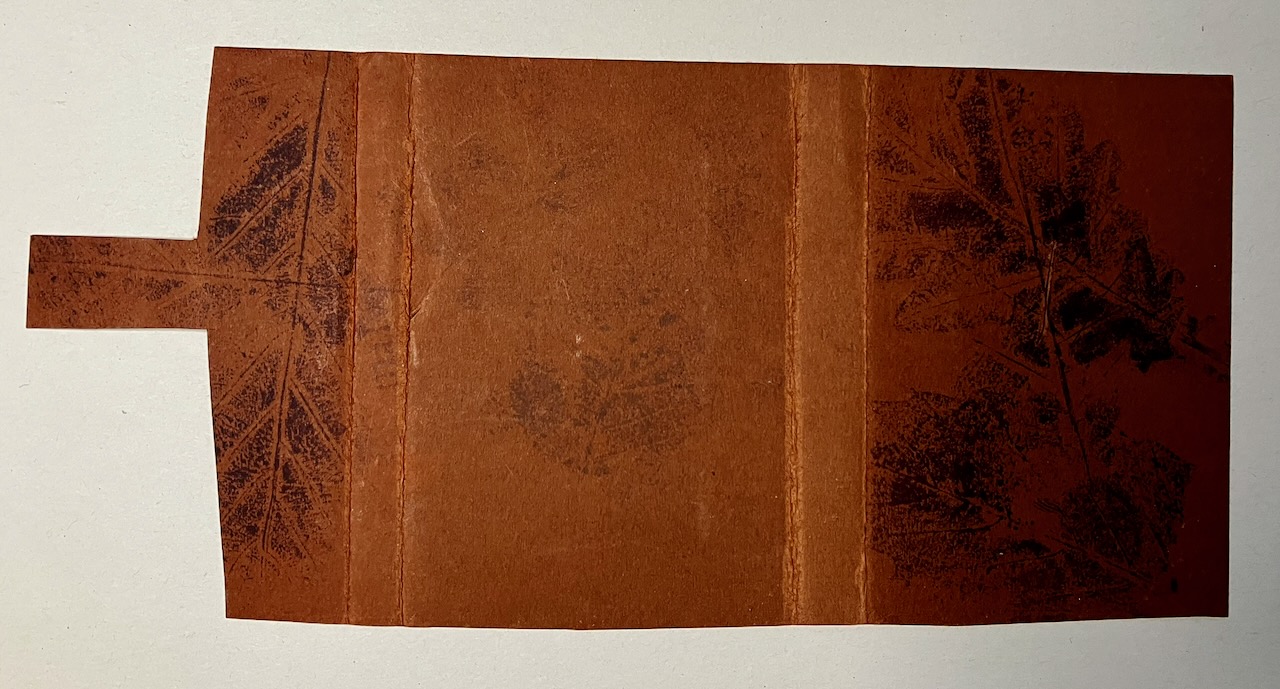 Malva-tape-front